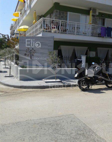EliaApartment-3