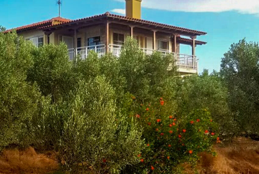 Psakoudia1451-1