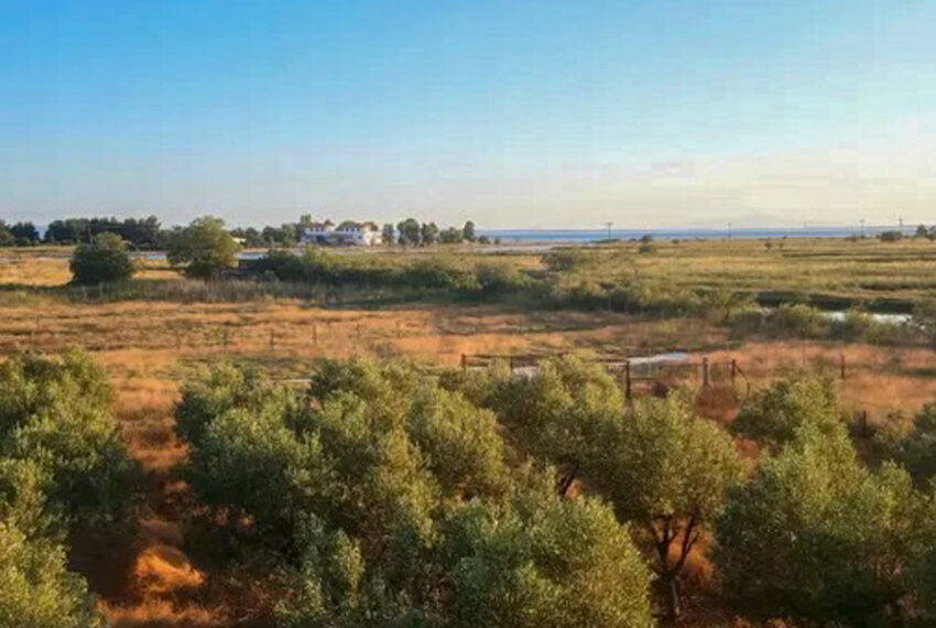 Psakoudia1451-14