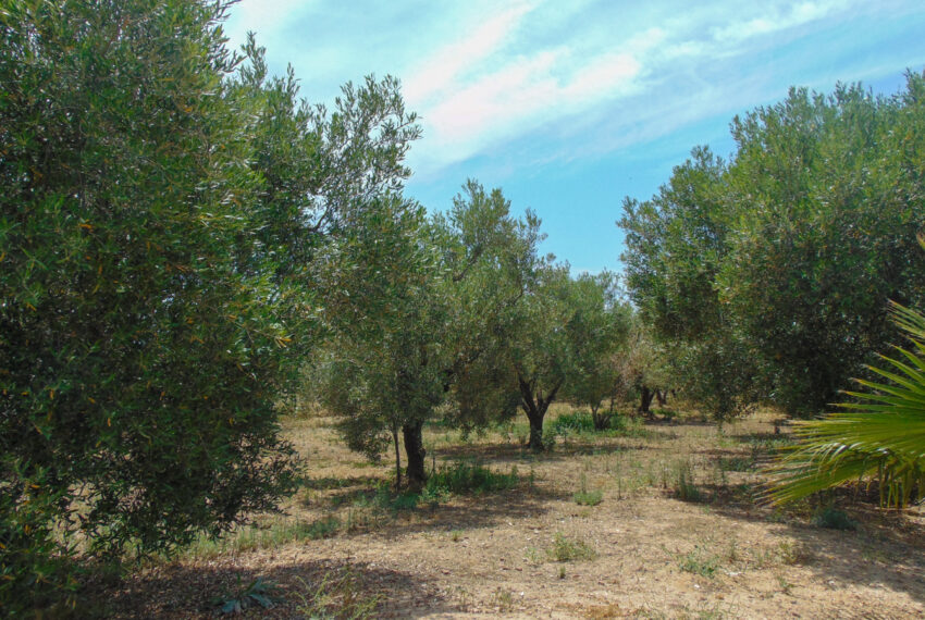 Psakoudia1451-30