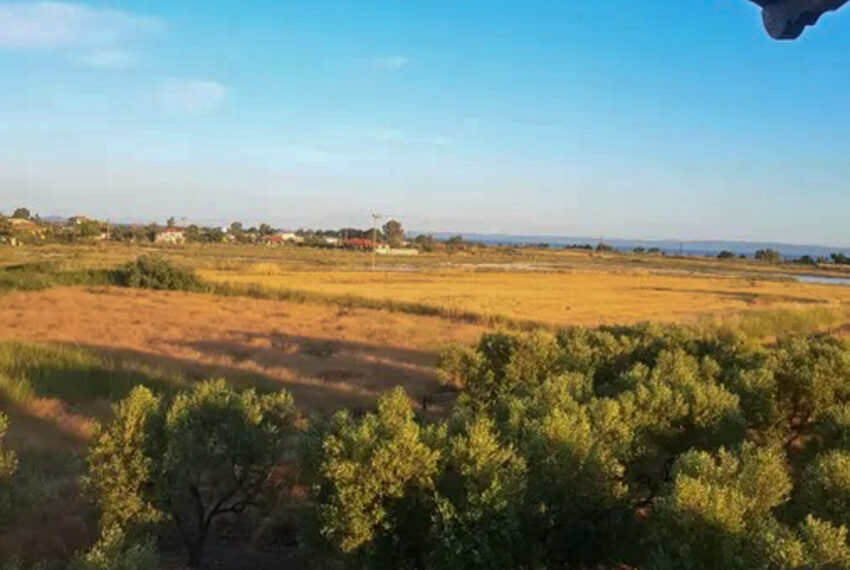 Psakoudia1451-9