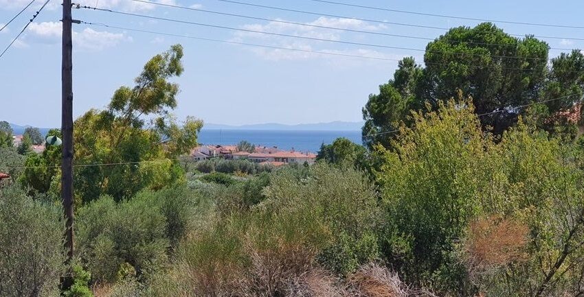 Nikiti1658-21