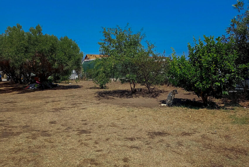 AgiosNicolaos2039-11