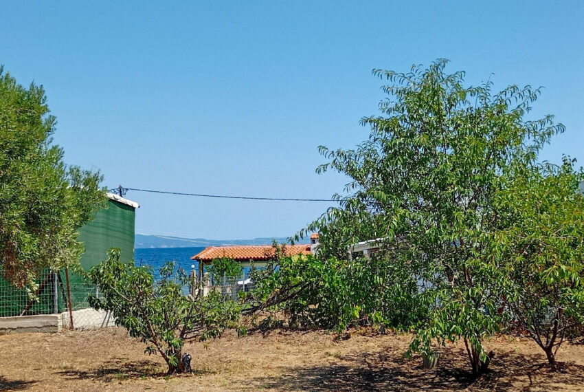 AgiosNicolaos2039-12