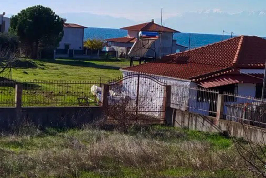 Plagia2083-19