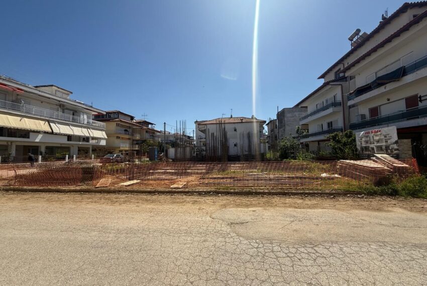 Dionisiou2461-8