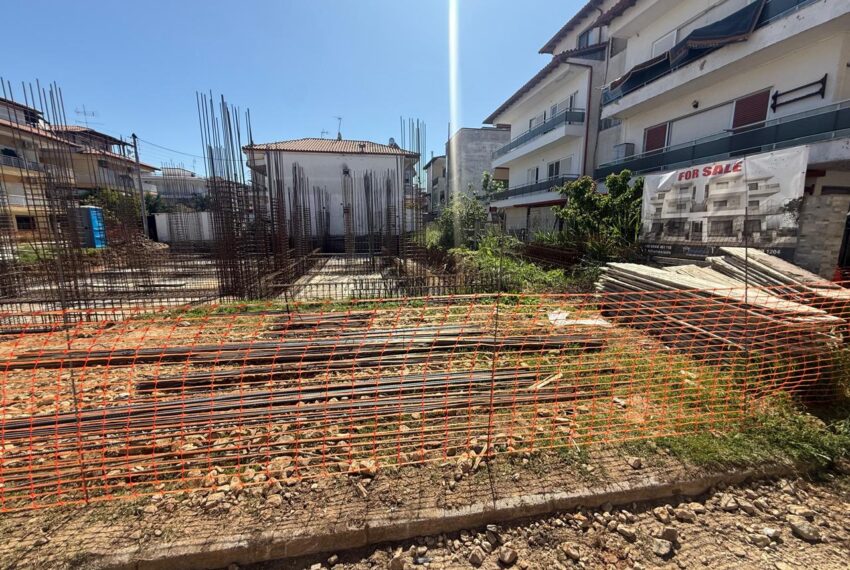 Dionisiou2461-9