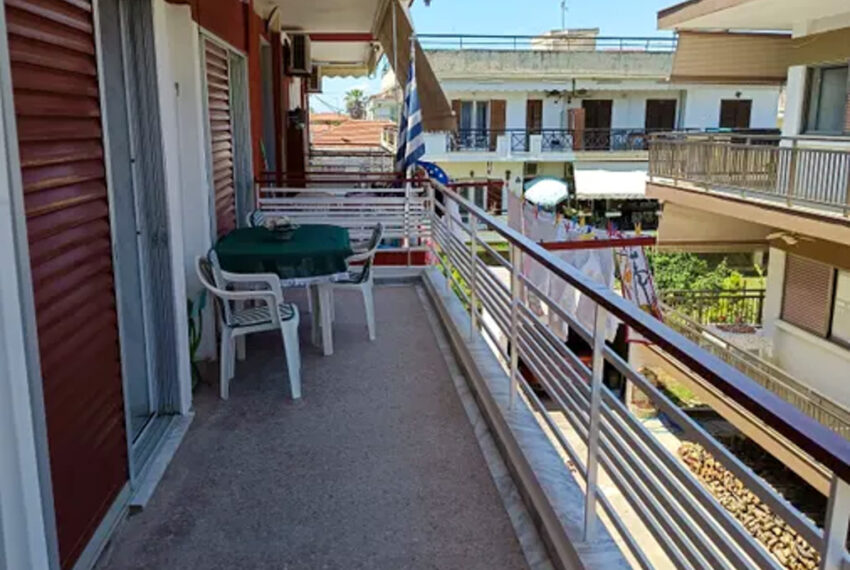 Plagia2504-14