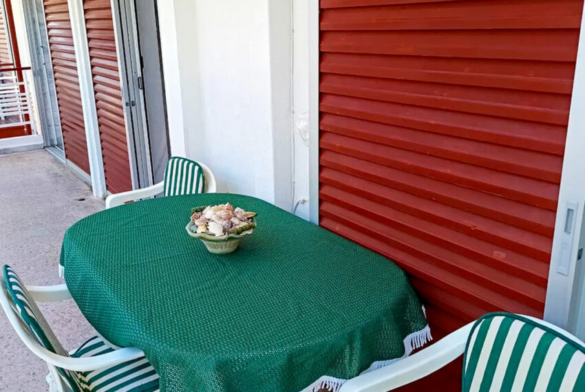 Plagia2504-18