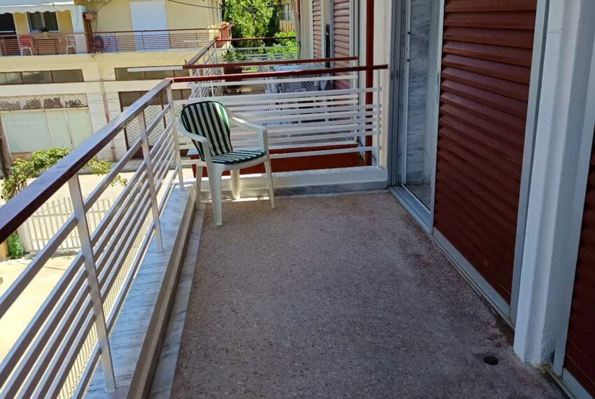 Plagia2504-19