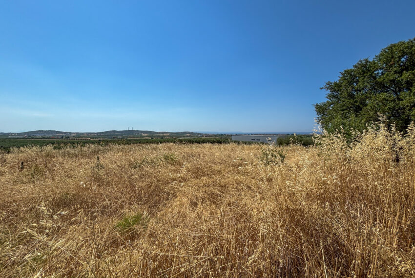 Dionisiou2509-2
