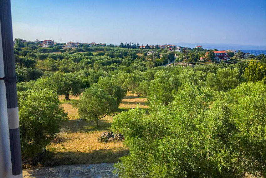 Afytos2557-9