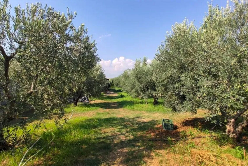 Agiosmamas2560-14
