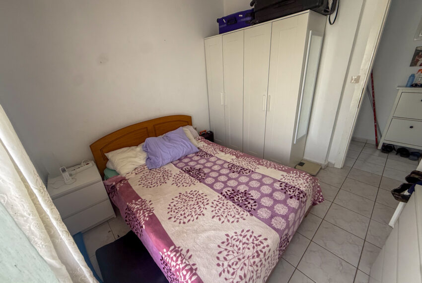 Flogita2588-8