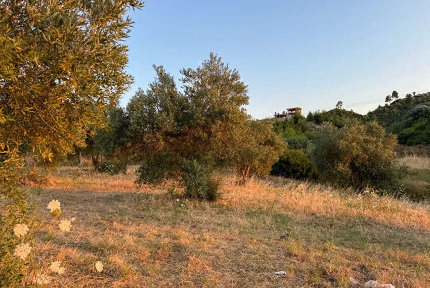 Pefkohori2591-8