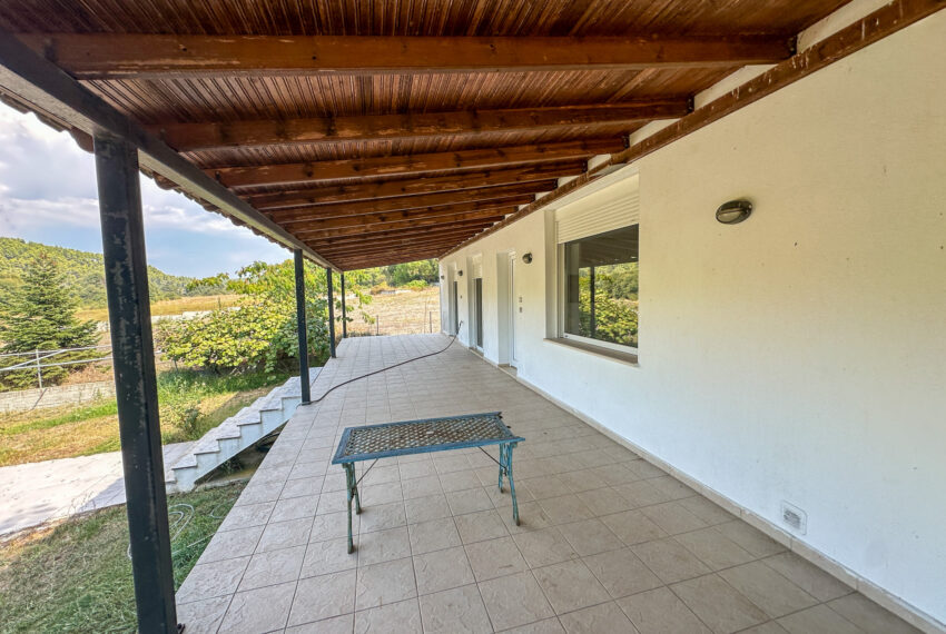 Elani2631-17