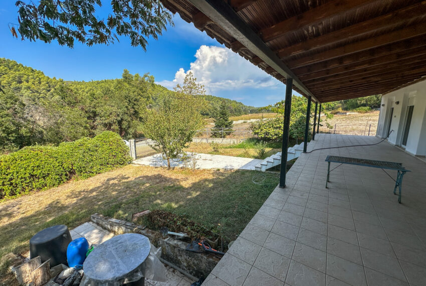 Elani2631-24