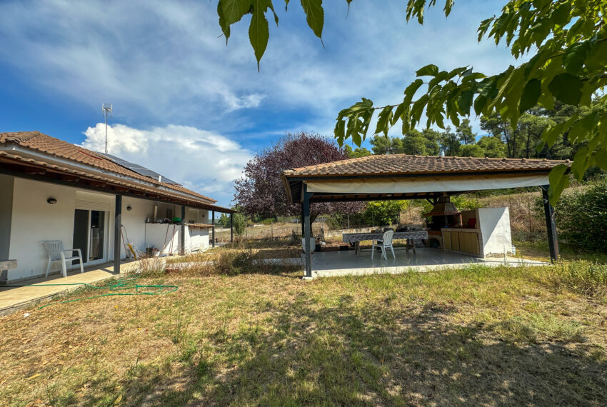 Elani2631-3