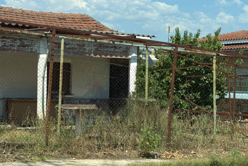 Flogita2593-1