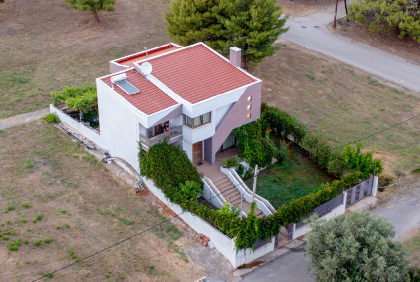 Metamorfosi2633-16
