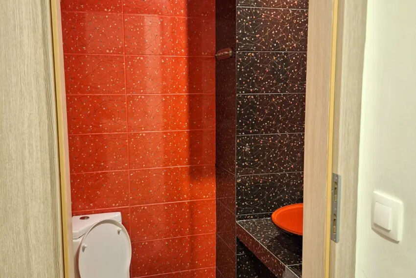Metamorfosi2633-9