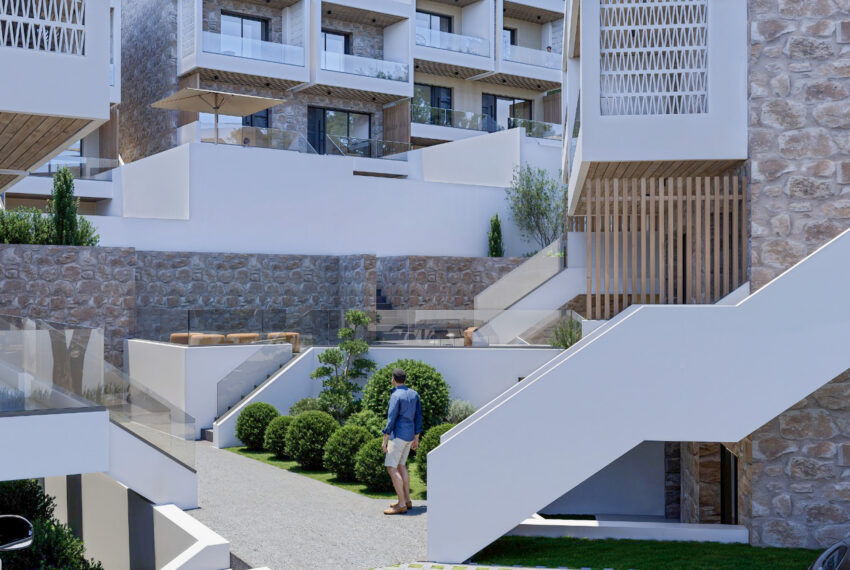 Polychrono2639-12